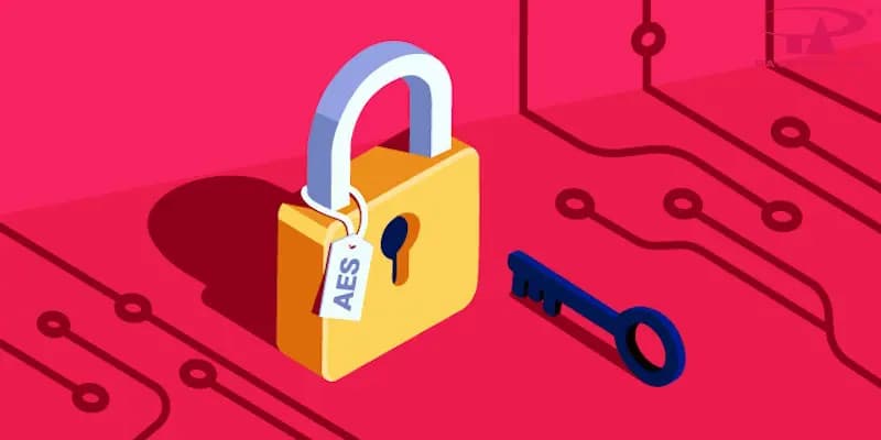 Điều khoản sử dụng Sumvip – Quy định quan trọng cần biết 2 Thông tin người chơi cung cấp cho Sumvip